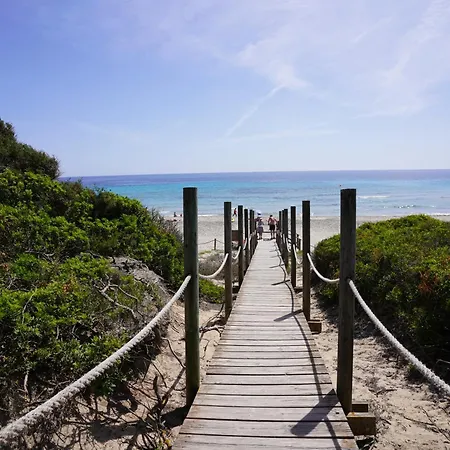 Seth Mestral & Llebeig