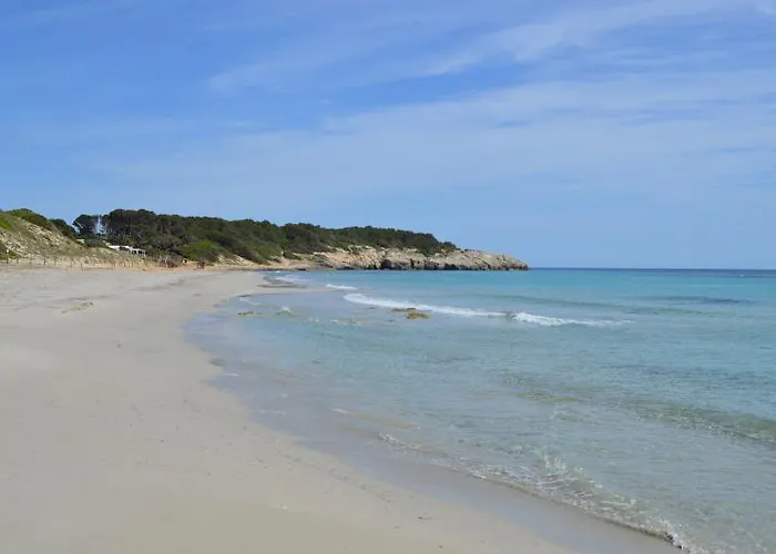 Seth Mestral & Llebeig מלון דירות