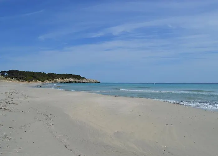 Seth Mestral & Llebeig מלון דירות 4*