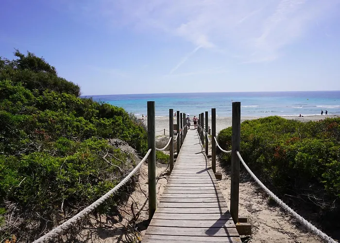 Seth Mestral & Llebeig